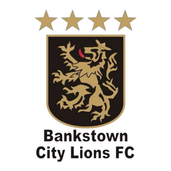 Bankstown City Lions Logo Bankstown City Lions Logo